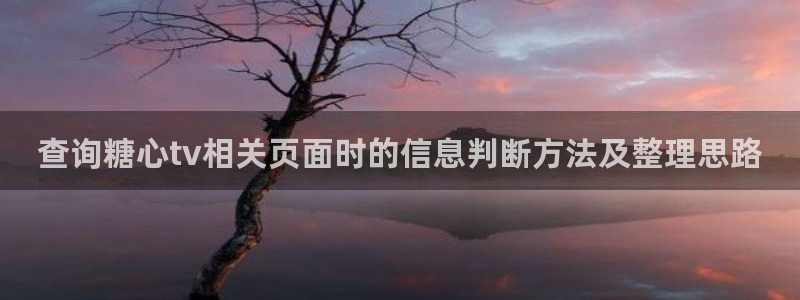 心糖vlog官网