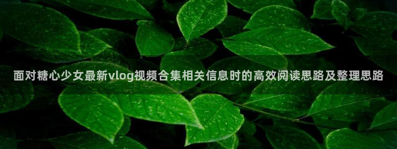 糖心viog最新网站入口:面对糖心少女最新vlog视频合集相关信息时的高效阅读思路及整理思路