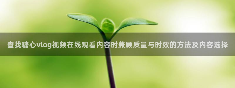 tg-tg-糖心官方网站:查找糖心vlog视频在线观看内容时兼顾质量与时效的方法及内容选择