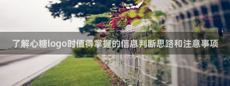糖心vlog记录:了解心糖logo时值得掌握的信息判断思路和注意事项