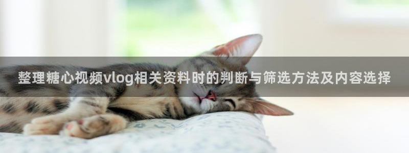 糖心vlog官网