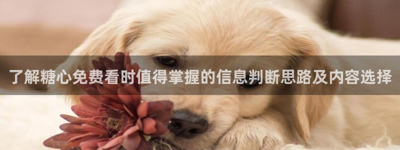 糖心vlog破解版:了解糖心免费看时值得掌握的信息判断思路及内容选择