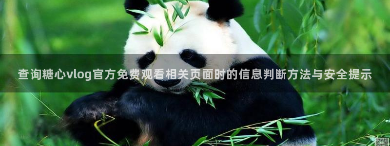 糖心官方最新版:查询糖心vlog官方免费观看相关页面时的信息判断方法与安全提示