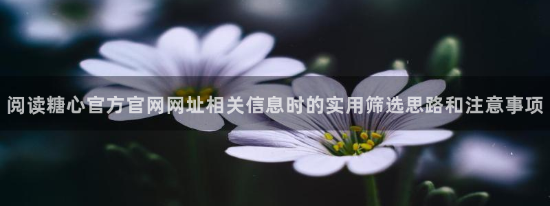糖心精品