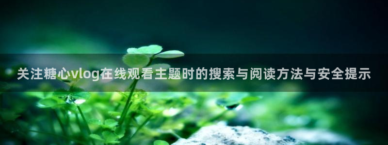 糖心入口