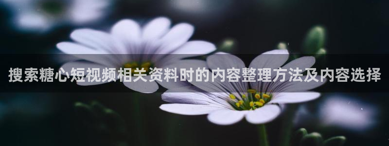 糖心网:搜索糖心短视频相关资料时的内容整理方法及内容选择