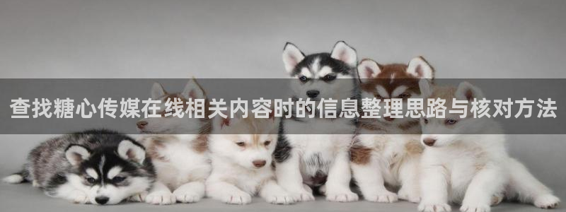 糖心精品