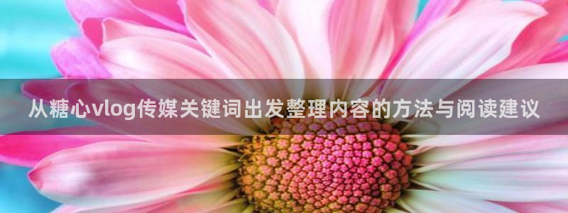 糖心网页版