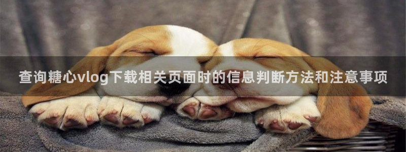 糖心免费网站